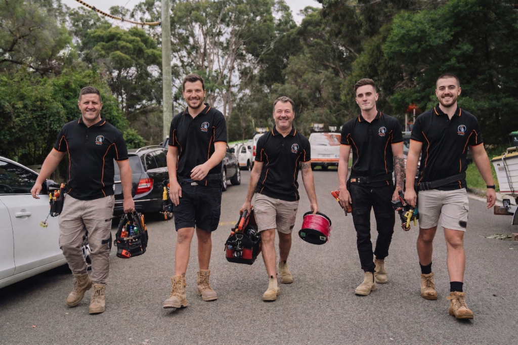 Professional electrical services in Blakehurst